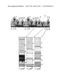 Semiconductor Substrate Transfer/Processing-tunnel -arrangement, with     Successive Semiconductor Substrate - Sections diagram and image