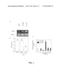 PLANT PATHOGEN RESISTANCE diagram and image