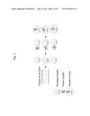 Long-Range Barcode Labeling-Sequencing diagram and image