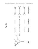 Long-Range Barcode Labeling-Sequencing diagram and image