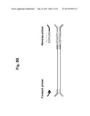 Long-Range Barcode Labeling-Sequencing diagram and image