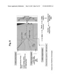 Long-Range Barcode Labeling-Sequencing diagram and image