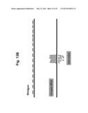 Long-Range Barcode Labeling-Sequencing diagram and image