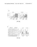 BIOMARKER FOR THE DIAGNOSIS, PROGNOSIS AND MONITORING OF CANCER diagram and image