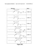 Method of Conducting an Assay diagram and image