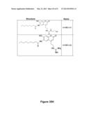 Method of Conducting an Assay diagram and image