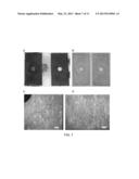 INHIBITING CORROSION AND SCALING OF SURFACES CONTACTED BY     SULFUR-CONTAINING MATERIALS diagram and image