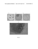 INHIBITING CORROSION AND SCALING OF SURFACES CONTACTED BY     SULFUR-CONTAINING MATERIALS diagram and image