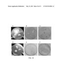 INHIBITING CORROSION AND SCALING OF SURFACES CONTACTED BY     SULFUR-CONTAINING MATERIALS diagram and image