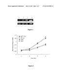 USE OF SPINK6 GENE AND ITS ENCODED PROTEIN FOR THE PREPARATION OF AN     ANTI-TUMOR DRUG diagram and image