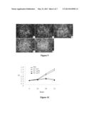 USE OF SPINK6 GENE AND ITS ENCODED PROTEIN FOR THE PREPARATION OF AN     ANTI-TUMOR DRUG diagram and image