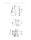 PIMAP39 MODULATES INFLAMMATORY RESPONSE diagram and image