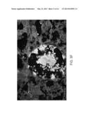 PIMAP39 MODULATES INFLAMMATORY RESPONSE diagram and image