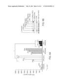 PIMAP39 MODULATES INFLAMMATORY RESPONSE diagram and image