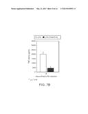 PIMAP39 MODULATES INFLAMMATORY RESPONSE diagram and image