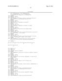 ANTIMICROBIAL PEPTIDES AND PEPTIDE DERIVATIVES DERIVED FROM ONCOPELTUS     FASCIATUS diagram and image