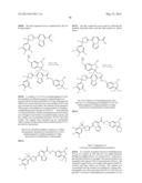 BORON-CONTAINING SMALL MOLECULES diagram and image