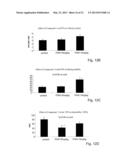 NOVEL PSYCHOTROPIC AGENTS HAVING GLUTAMATE NMDA ACTIVITY diagram and image