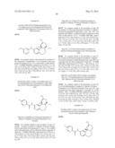 COMPOUNDS FOR THE REDUCTION OF BETA-AMYLOID PRODUCTION diagram and image