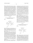 3-(INDOLYL)- OR 3-(AZAINDOLYL)- 4-ARYLMALEIMIDE COMPOUNDS AND THEIR USE IN     TUMOR TREATMENT diagram and image