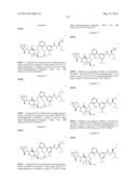 Compounds and Methods for Inhibiting the Interaction of BCL Proteins with     Binding Partners diagram and image