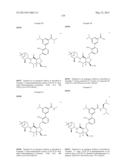 Compounds and Methods for Inhibiting the Interaction of BCL Proteins with     Binding Partners diagram and image