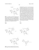 Compounds and Methods for Inhibiting the Interaction of BCL Proteins with     Binding Partners diagram and image