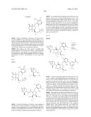 Compounds and Methods for Inhibiting the Interaction of BCL Proteins with     Binding Partners diagram and image