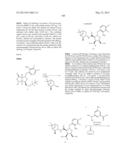 Compounds and Methods for Inhibiting the Interaction of BCL Proteins with     Binding Partners diagram and image