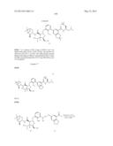 Compounds and Methods for Inhibiting the Interaction of BCL Proteins with     Binding Partners diagram and image