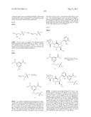 Compounds and Methods for Inhibiting the Interaction of BCL Proteins with     Binding Partners diagram and image