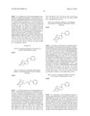 Quinuclidine Compounds as Alpha-7 Nicotinic Acetylcholine Receptor Ligands diagram and image