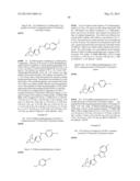 Quinuclidine Compounds as Alpha-7 Nicotinic Acetylcholine Receptor Ligands diagram and image