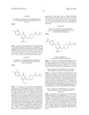 PYRIDONE AND PYRIDAZONE ANALOGUES AS GPR119 MODULATORS diagram and image