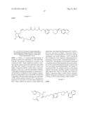 BIFUNCTIONAL RHO KINASE INHIBITOR COMPOUNDS, COMPOSITION AND USE diagram and image
