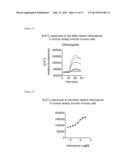 METHODS OF TREATING OBSTRUCTIVE LUNG DISEASES USING BITTER TASTANTS diagram and image