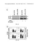 Compositions and Methods for Treating Pulmonary Conditions diagram and image