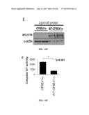 Compositions and Methods for Treating Pulmonary Conditions diagram and image