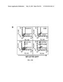 Compositions and Methods for Treating Pulmonary Conditions diagram and image