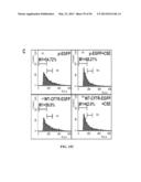 Compositions and Methods for Treating Pulmonary Conditions diagram and image