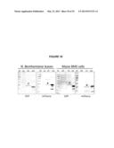 AUTO-PROCESSING DOMAINS FOR POLYPEPTIDE EXPRESSION diagram and image