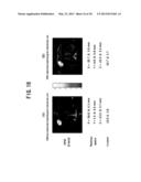 ELECTROENCEPHALOGRAM ELECTRODE UNIT FOR SMALL ANIMALS AND MEASUREMENT     SYSTEM USING THE SAME diagram and image