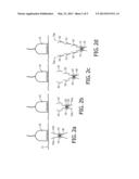 ULTRASONIC SHEAR WAVE IMAGING WITH FOCUSED SCANLINE BEAMFORMING diagram and image