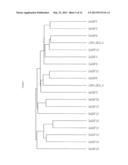 TRANSCRIPTIONAL ACTIVATORS INVOLVED IN ABIOTIC STRESS TOLERANCE diagram and image