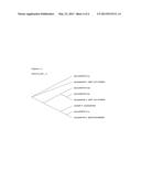 COMPOSITIONS AND METHODS OF USE OF MITOGEN-ACTIVATED PROTEIN KINASE KINASE     KINASE diagram and image