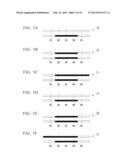 METHOD OF PLANT GENOME DESIGN, METHOD OF CREATING NEW CULTIVAR AND NEW     CULTIVAR diagram and image