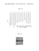 METHOD OF PLANT GENOME DESIGN, METHOD OF CREATING NEW CULTIVAR AND NEW     CULTIVAR diagram and image