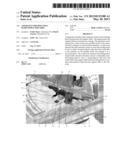 Apparatus For Mounting Semiconductor Chips diagram and image