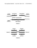 ETCHANT-FREE METHODS OF PRODUCING A GAP BETWEEN TWO LAYERS, AND DEVICES     PRODUCED THEREBY diagram and image