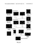 METHOD OF DETECTING FOREIGN BODIES diagram and image